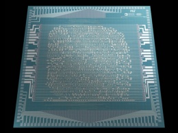 Представлен полностью рабочий процессор на транзисторах из углеродных нанотрубок