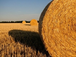 Арендная плата за сельхозземли в Украине превысила уровень отдельных стран ЕС