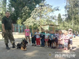 В Днепре полиция с собаками побывали в детском саду