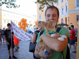 В Одессе стартовал яркий фестиваль Рыжий город: пришли даже коты