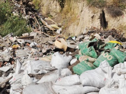 Люди «утопают» в мусоре: в Днепре образовалась стихийная мусорная свалка