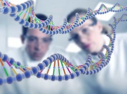 Ученые отрицают наличие "гена гомосексуальности"