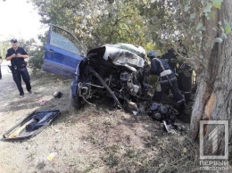 Три человека погибли в аварии на выезде из Кривого Рога, - ФОТО 18+