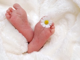 В Чехии девочка родилась спустя 117 дней после смерти мозга матери