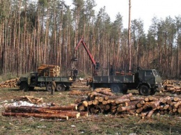 Лесничему в Харьковской обл. объявлено о подозрении в незаконной вырубке лесов, которая привела к 8 млн грн убытков