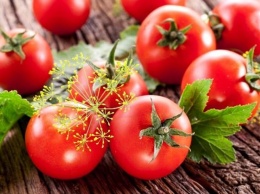 Малосольные помидоры в пакете: рецепт за 2 часа в холодильнике (Фото/Видео)
