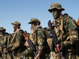 Оккупанты начали военные учения на Донбассе - разведка