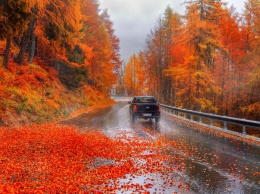 О чем водителям нужно помнить осенью, рассказал эксперт