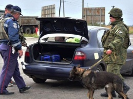 За неделю нацгвардейцы задержали 9 человек, причастных к деятельности НВФ