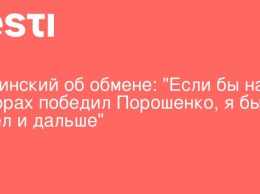 Вышинский об обмене: "Если бы на выборах победил Порошенко, я бы сидел и дальше"