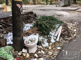 В одном из дворов Кривого Рога в 3-х метрах от мусорных баков образовалась свалка бытовых отходов