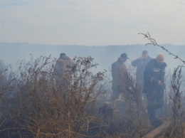 Под Харьковом на обстрелянном армейцами полигоне горят торфяники. Жители жалуются на невыносимую вонь