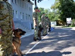 В Объединенных силах определили лучшего пограничника-кинолога: фоторепортаж