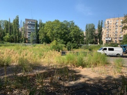 В Одессе строители высотки рубят деревья на территории бывшего детсада: местные жители обещают перекрыть Глушко