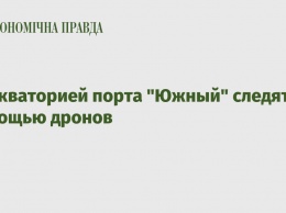 За акваторией порта "Южный" следят с помощью дронов