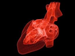 Новый ИИ-алгоритм с высокой точностью определяет риск сердечного приступа