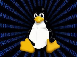 Microsoft готовит версию Teams под Linux