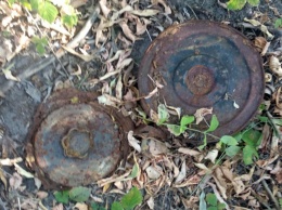 Рыбак нашел в посадке противотанковые мины: подробности