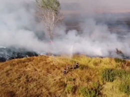 Крупный пожар в Харьковской области: из-за дыма невозможно определить масштаб