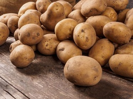 "Золотой" картофель: эксперты объяснили, почему растут цены
