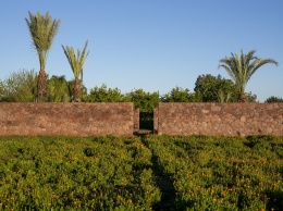 Yves Saint Laurent Beauty открыли сад в Марокко