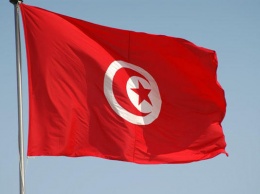 В Тунисе проходит голосование на досрочных президентских выборах