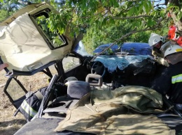 Под Днепром автомобиль въехал в дерево: пострадавших доставали спасатели, - ФОТО, ВИДЕО