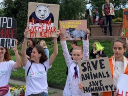 Всеукраинский марш за животных: что происходит в Киеве