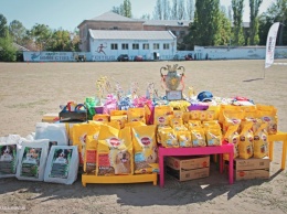 В Николаеве ко Дню города прошла международная выставка собак