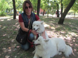 В Бердянске прошла выставка собак всех пород (фоторепортаж)