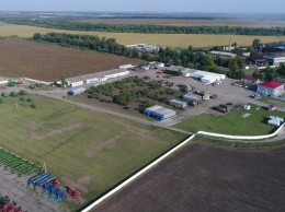 Несмотря на засуху, «Укрлендфарминг» рассчитывает на хороший урожай рапса
