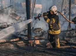 800 пожаров за месяц: в Киеве и Украине объявили чрезвычайный уровень опасности