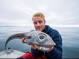 Так вот ты какая, европейская химера: молодой норвежец поймал диковинную рыбу (ФОТО)