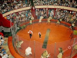 Суд запретил Одесскому цирку использовать животных во время выступлений