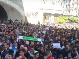 В Алжире протестуют против выборов из-за коррупции во власти