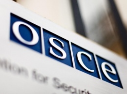 СБУ расследует поездку "делегатов" Крыма на совещание ОБСЕ