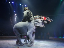 Такого в Украине еще небыло: одному из крупнейших цирков запретили использовать в выступлениях животных