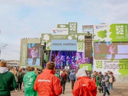 Первый московский экофестиваль в поддержку всероссийской акции "Сохраним лес" посетило более 30 тысяч человек