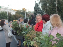 К 1120-летию Полтавы сплели рекордно длинный венок-оберег