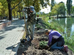 В Гагаринском парке Симферополя высаживают деревья