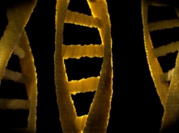 The Guardian: Человечество хочет писать ДНК как компьютерный код, но «игры в Бога» опасны