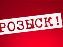 На Днепропетровщине за нарушение ПДД разыскивают женщину (ФОТО)