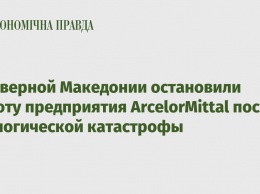 В Северной Македонии остановили работу предприятия ArcelorMittal после экологической катастрофы