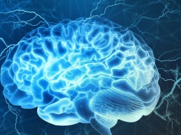 Как улучшить работу мозга без медикаментов: 5 способов