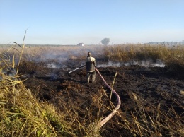 В Киевской области сжигание травы привело к пожару на торфяниках
