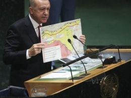 Эрдоган объявил о планах создания зоны безопасности для сирийских беженцев