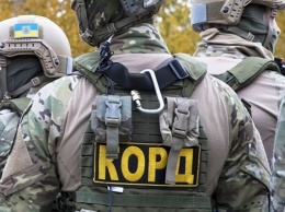 Массовые обыски на Закарпатье: начались задержания