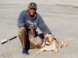 В США слепой пес попытался помочь выброшенному на пляж Нью-Йорка дельфину (фото)