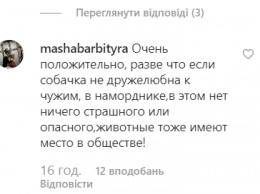 "Лучше животные, чем наркоманы": запорожцы заступились за собаку в маршрутке (ВИДЕО)