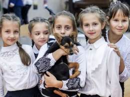 В Украине пройдет самый массовый урок доброты ко Дню защиты животных